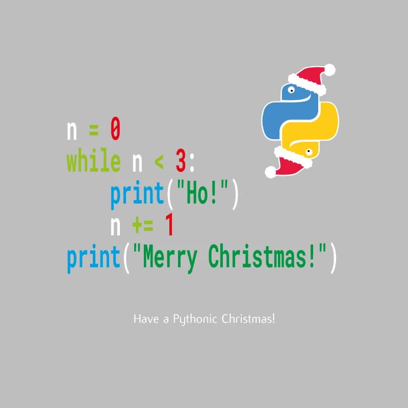 Ho! Ho! Ho! - Joyeux Noël -Chemise Geek Python
