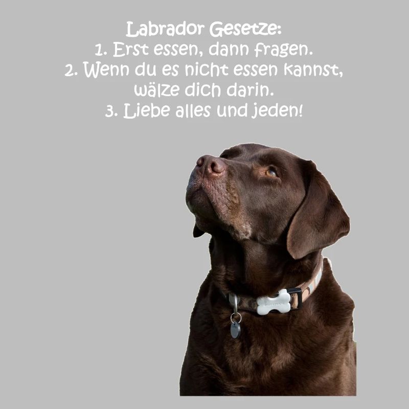 Die Gesetze eines Labradors