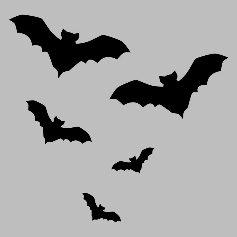 Fledermaus Fledermäuse