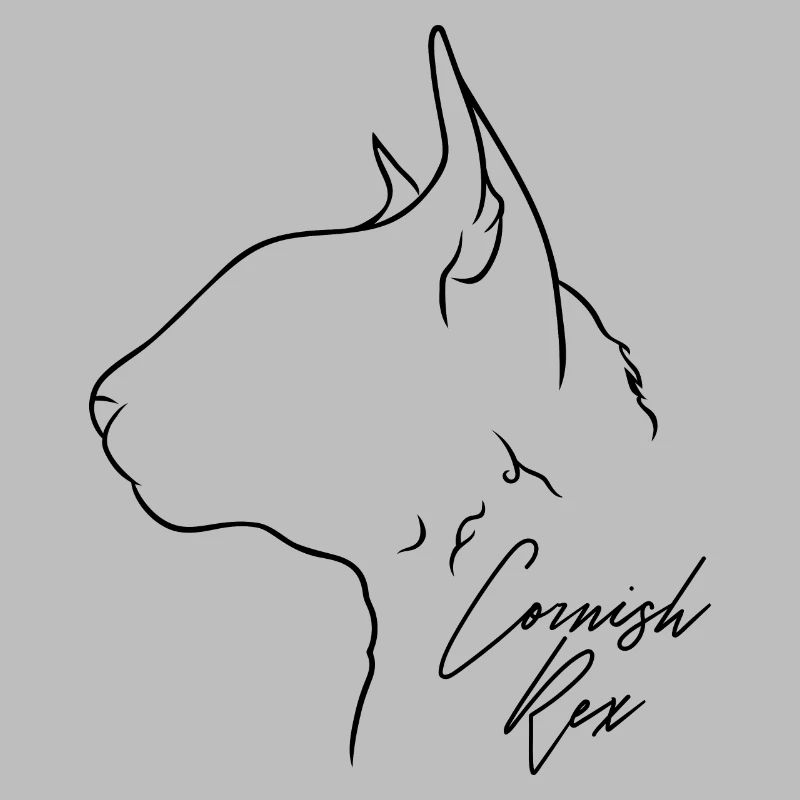 Cornish Rex Profil Chat Cat Wilsigns