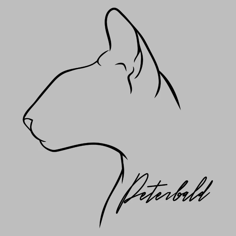 Peterbald Profil Chat Chat Wilsigns