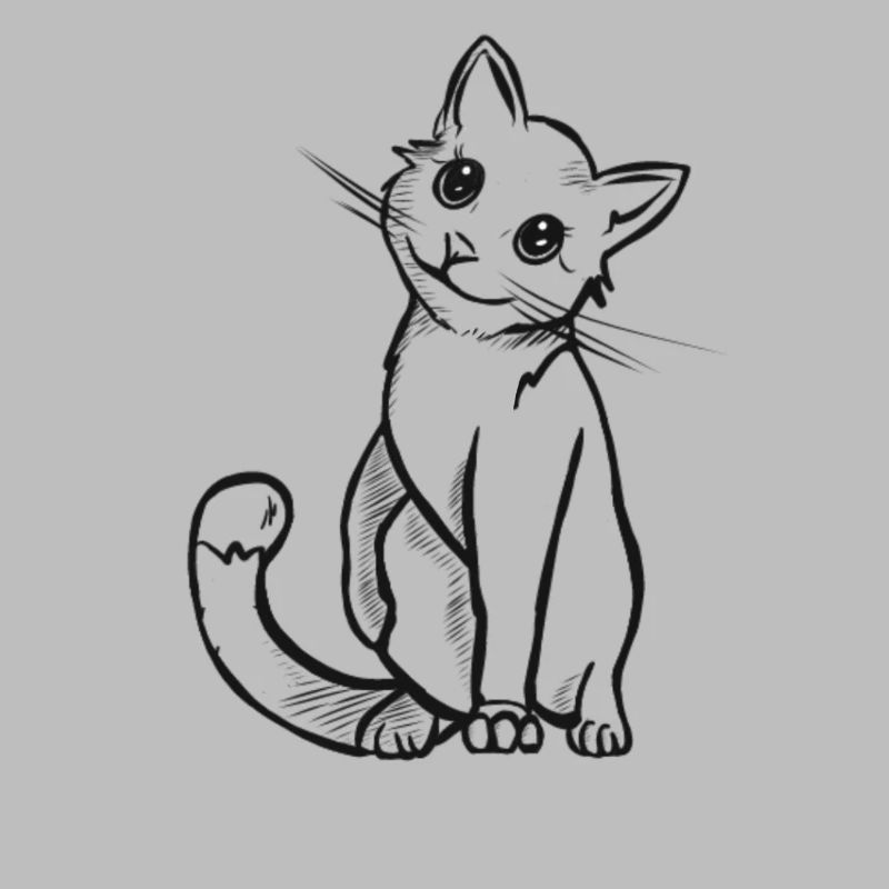chat mignon
