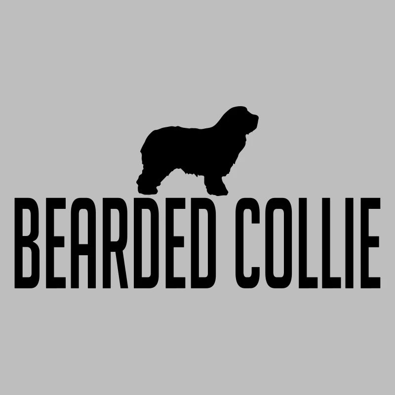 BEARDED COLLIE Hunderasse