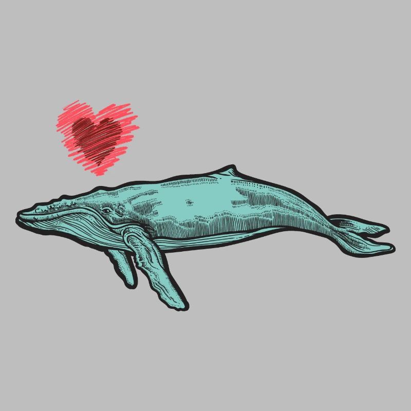 baleines mer poisson eau mer mer cachalot coeur