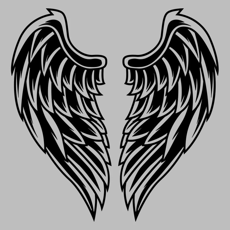 Aile symbole ange