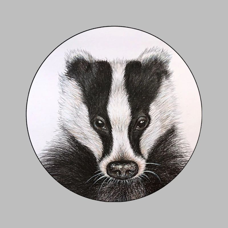 Badger /Badger