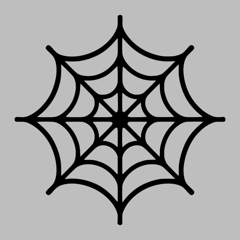 Spider Web Spider