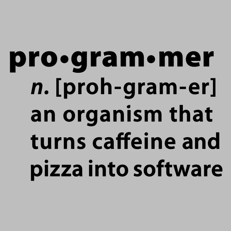 Programmer Wörterbuchdefinition