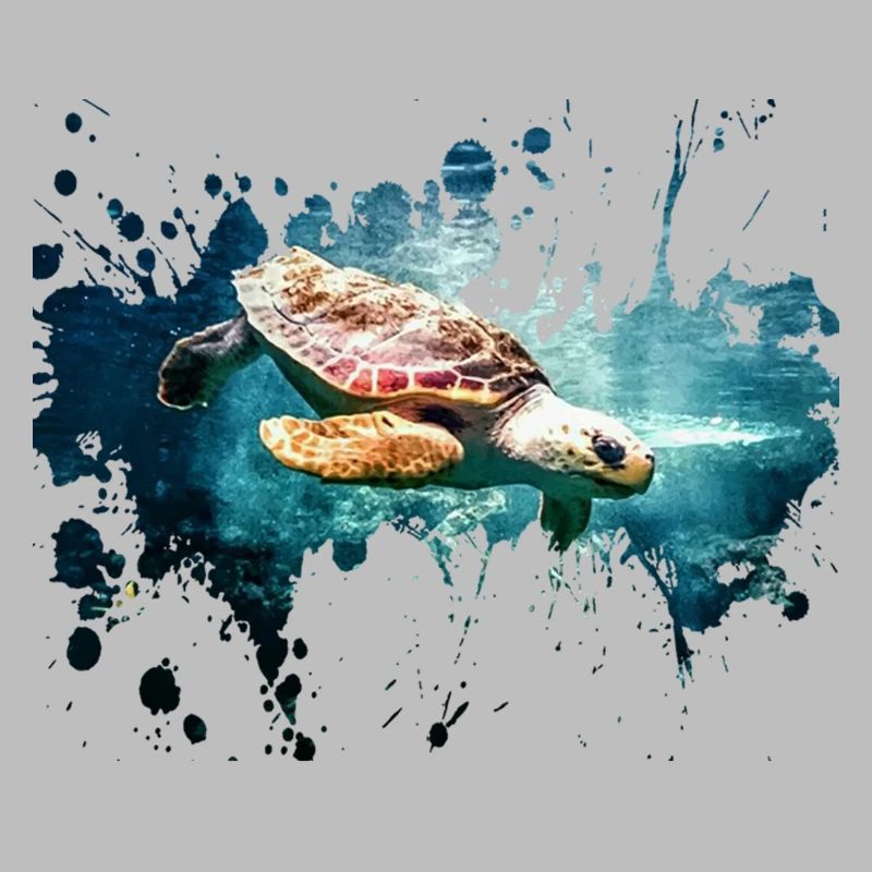 Turtle splash