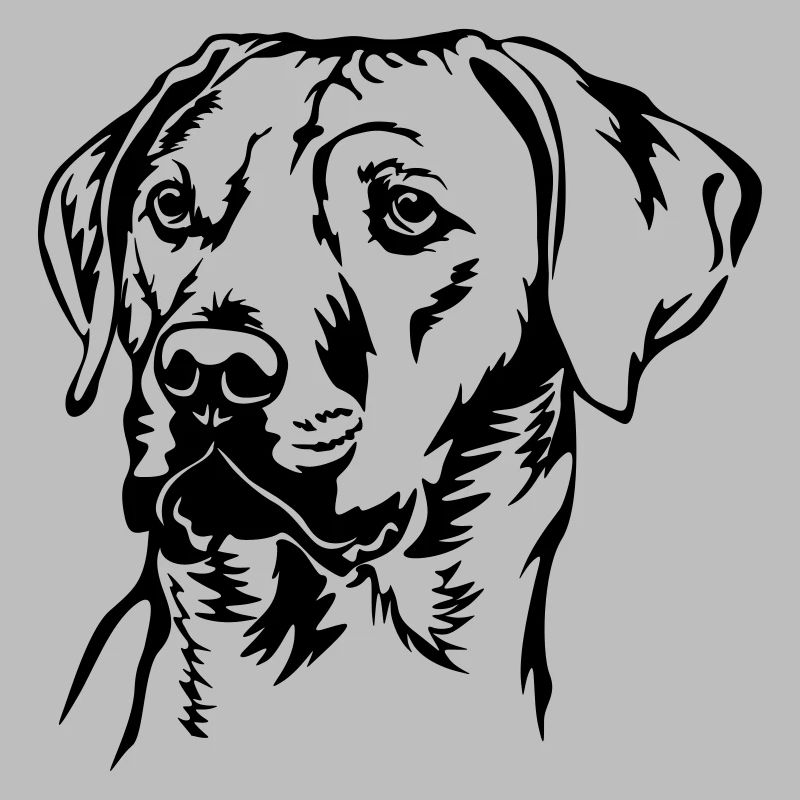 Rhodesian Ridgeback tête