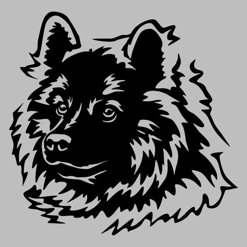 Eurasier Kopf