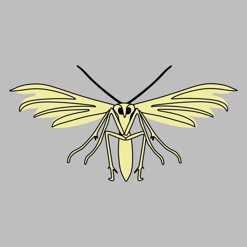 Feather moth