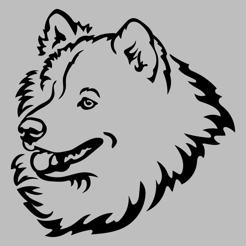 Samoyed head