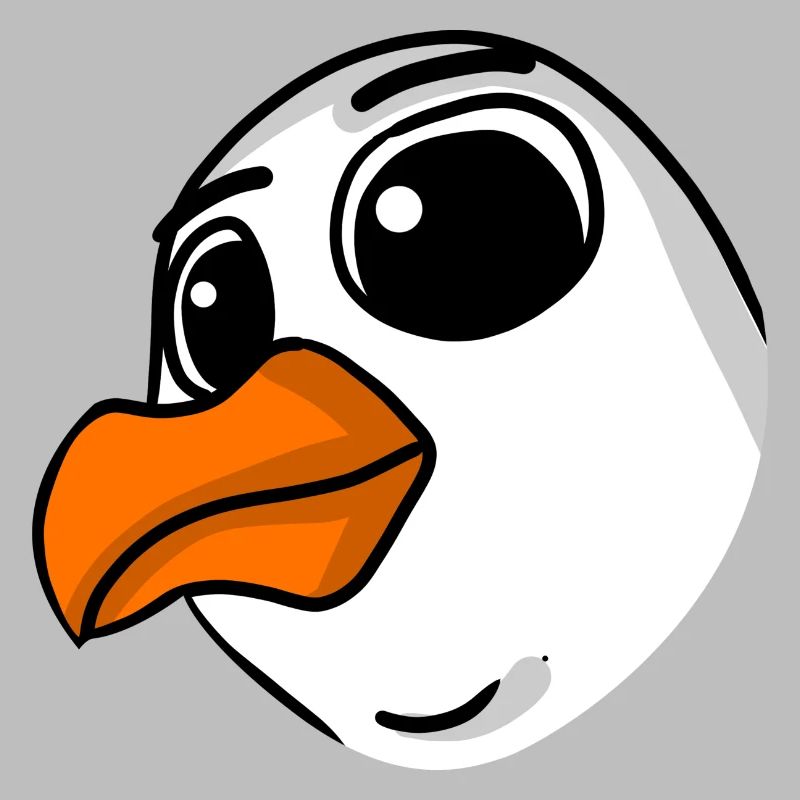 Möwe Kopf