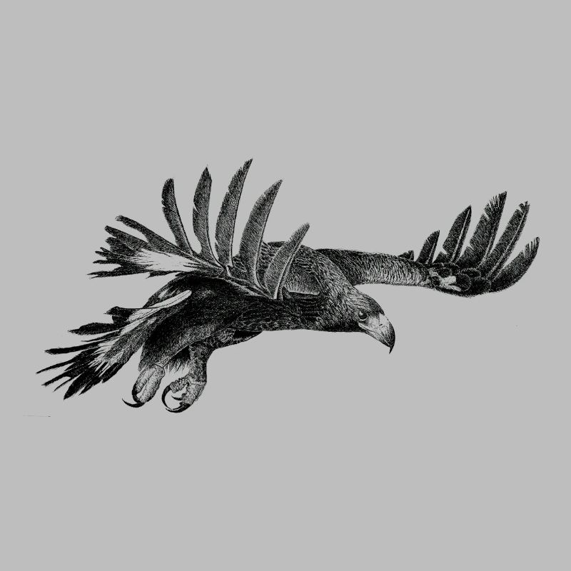 The Eagle