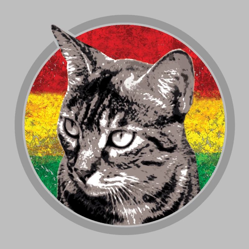 Chat avec des arrière-plans de drapeau