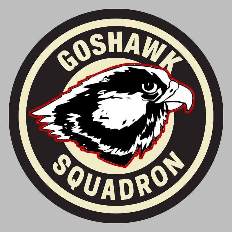 Conception de l’insigne de l’escadron Goshawk