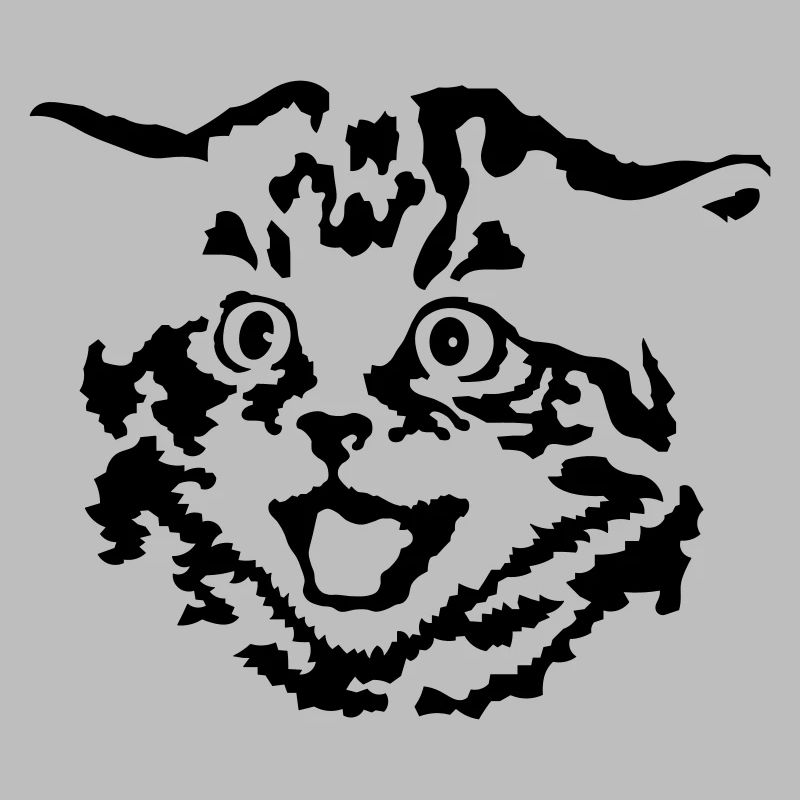 Kitten