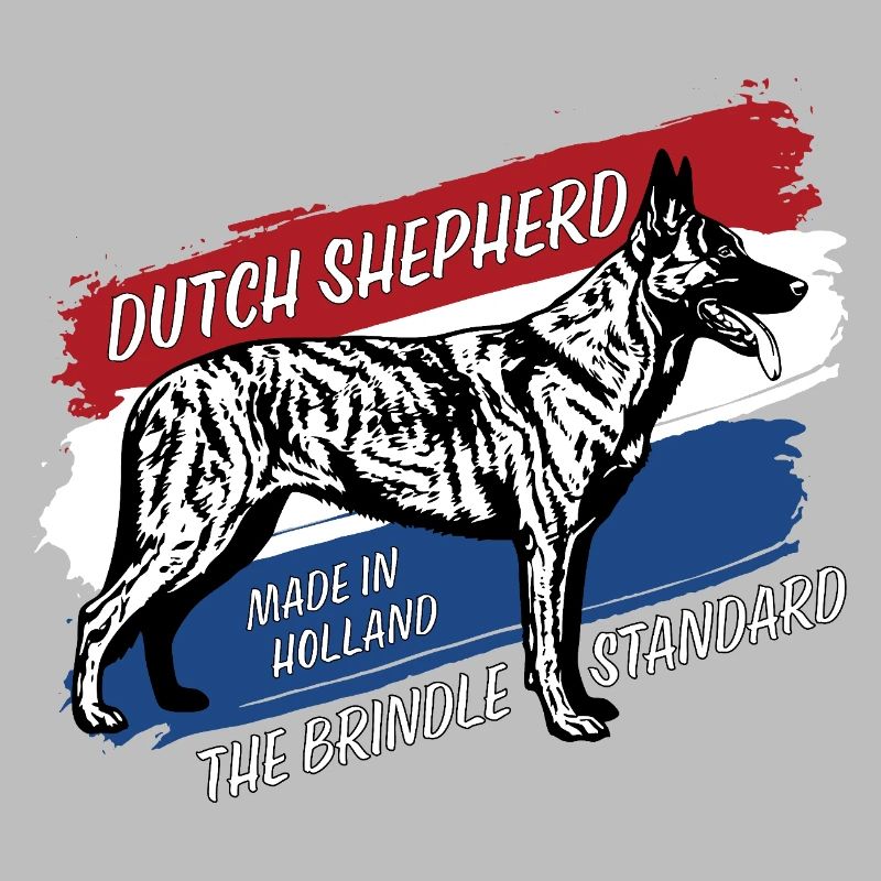 Dutch Shepherd – Dutchie