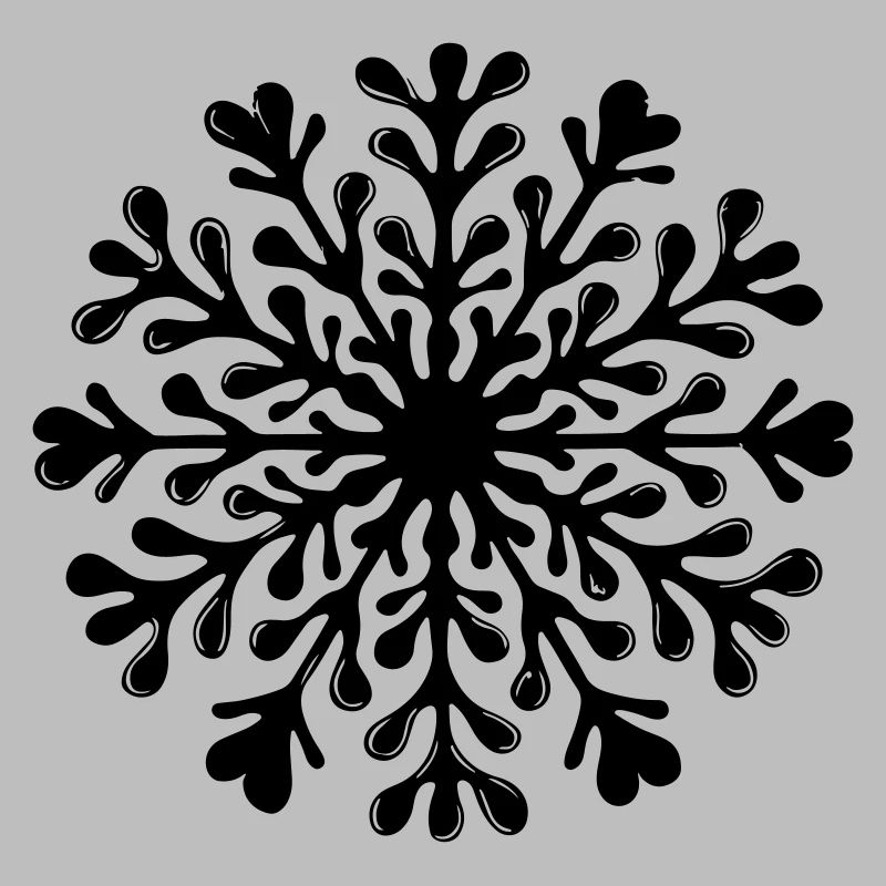 Snowflake Winter Icon