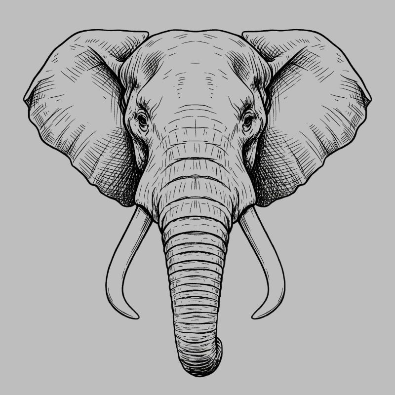 Éléphant
