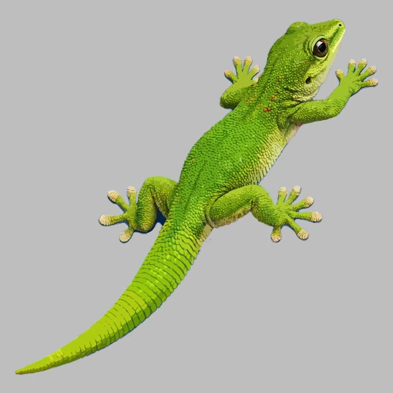 Gecko climbs 1