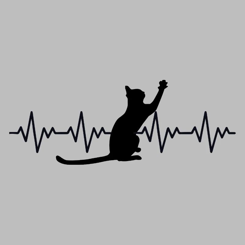 Katze EKG Herzfrequenz Herzschlag