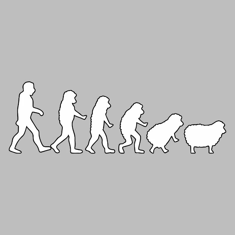 Evolution zum Schaf: Herdendenkweise