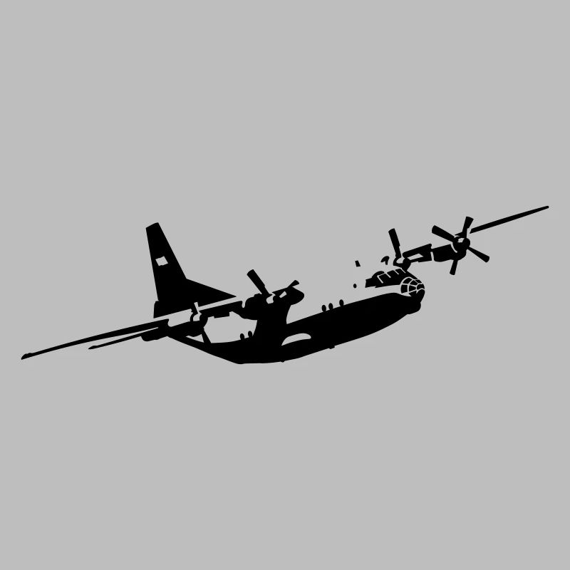 L’An-12