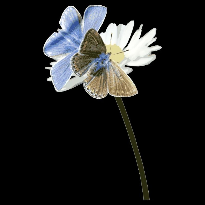 Zwei Bläuling Schmetterlinge auf einer Blüte