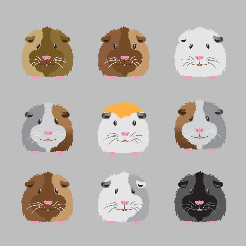 Neuf visages de cobayes