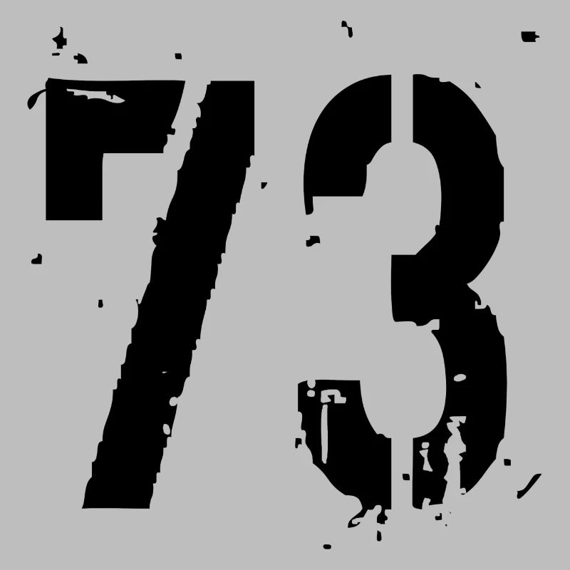 Number 73