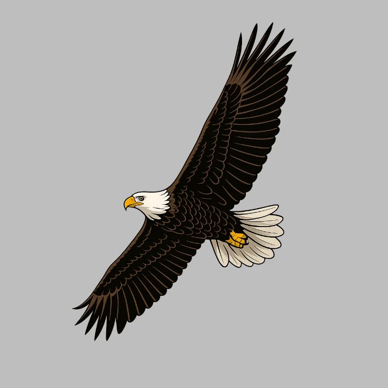 Eagle in Flight Distinct Graphics