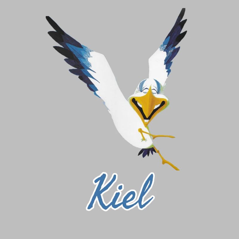 Lachmöwe aus Kiel