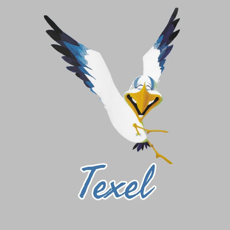Lachmöwe Texel