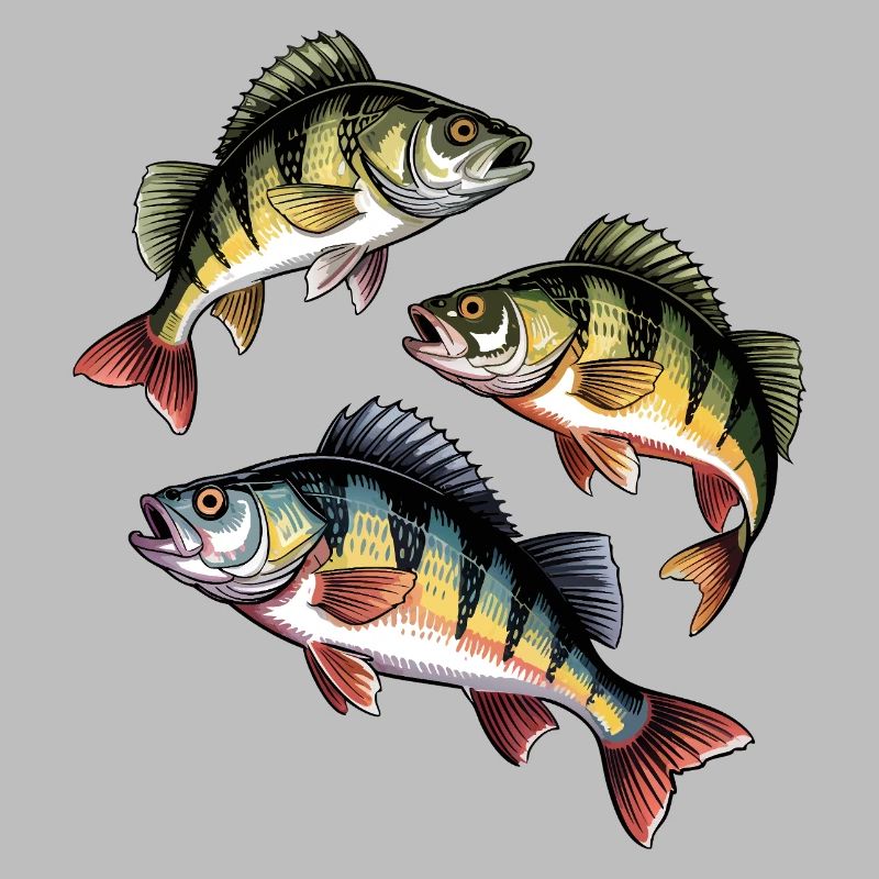 Pêche à la perche