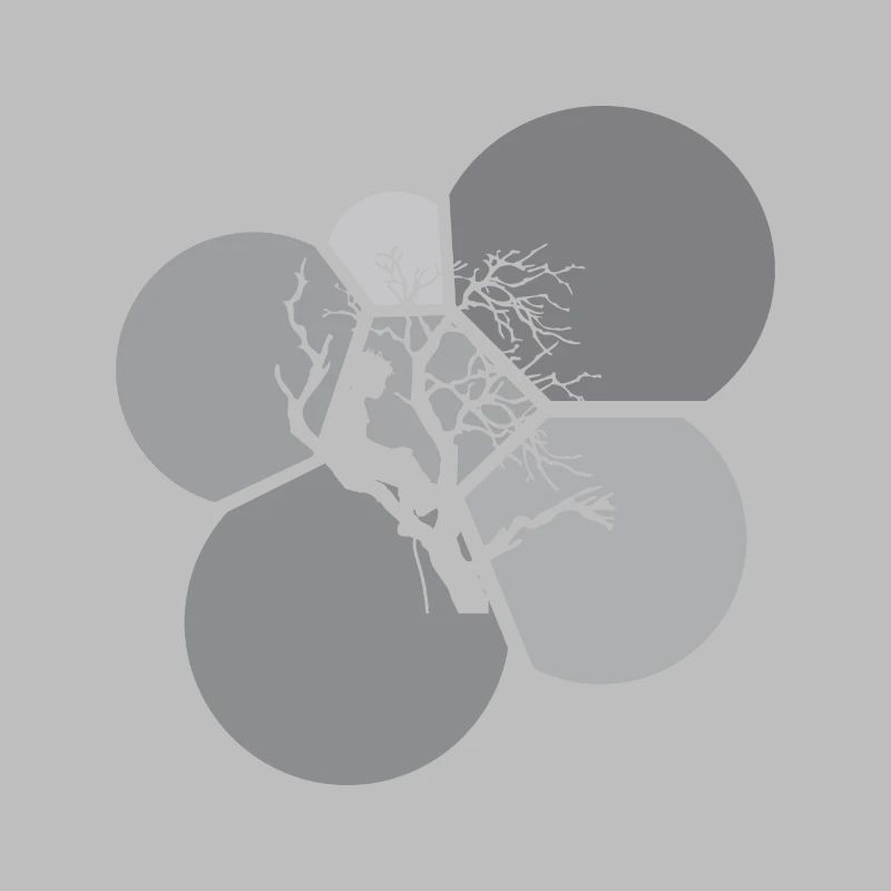 Baumklettern Kletterer