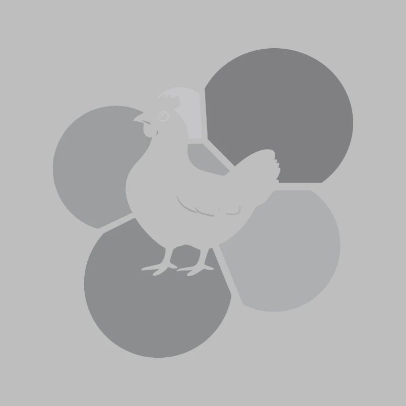 Chickens Chicken Coop Easter
