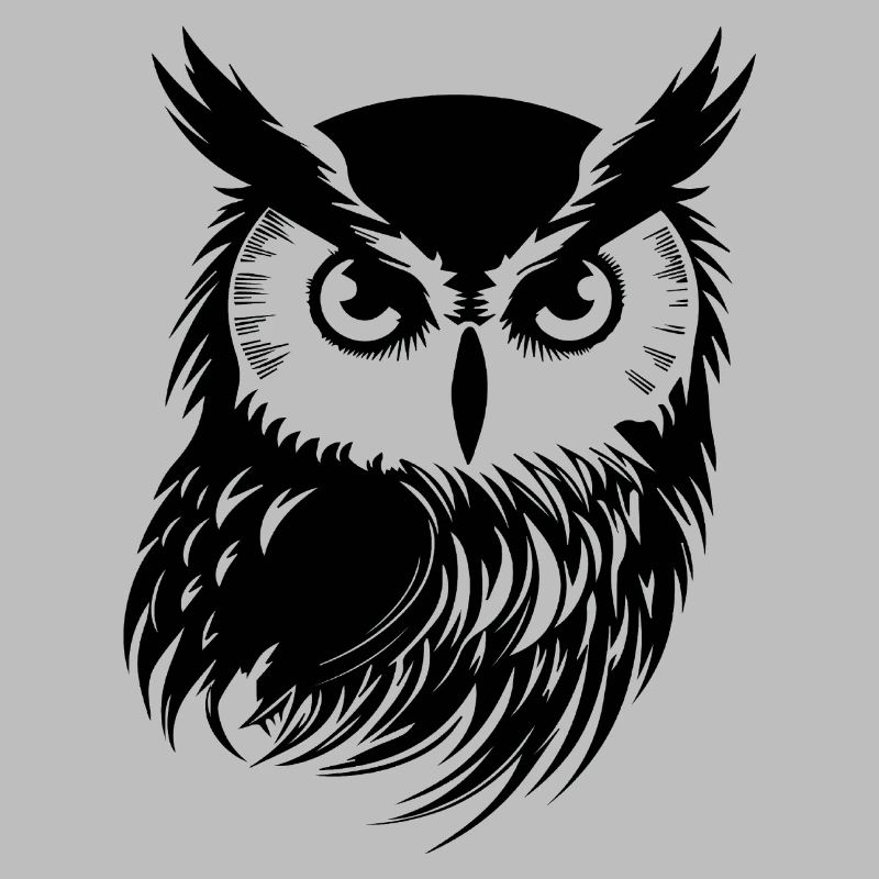 Eule Eulen Vogel Vögel