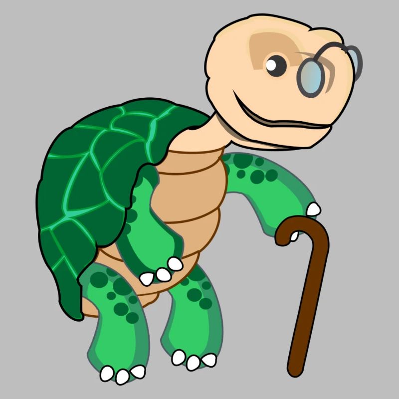 Slow turtle with glasses and walking stick