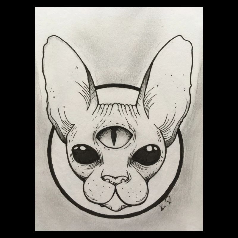 Katze