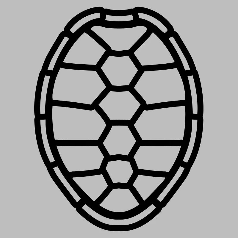 modèle de conception de coquille de tortue de band