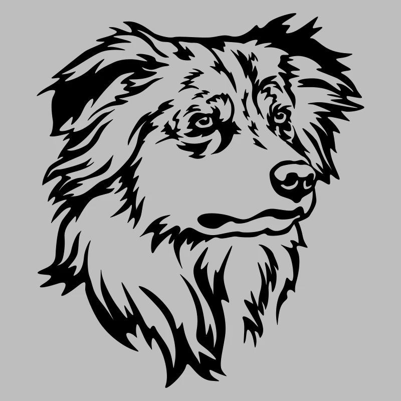 Australian Shepherd Head