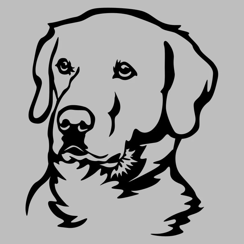 Tête de Labrador