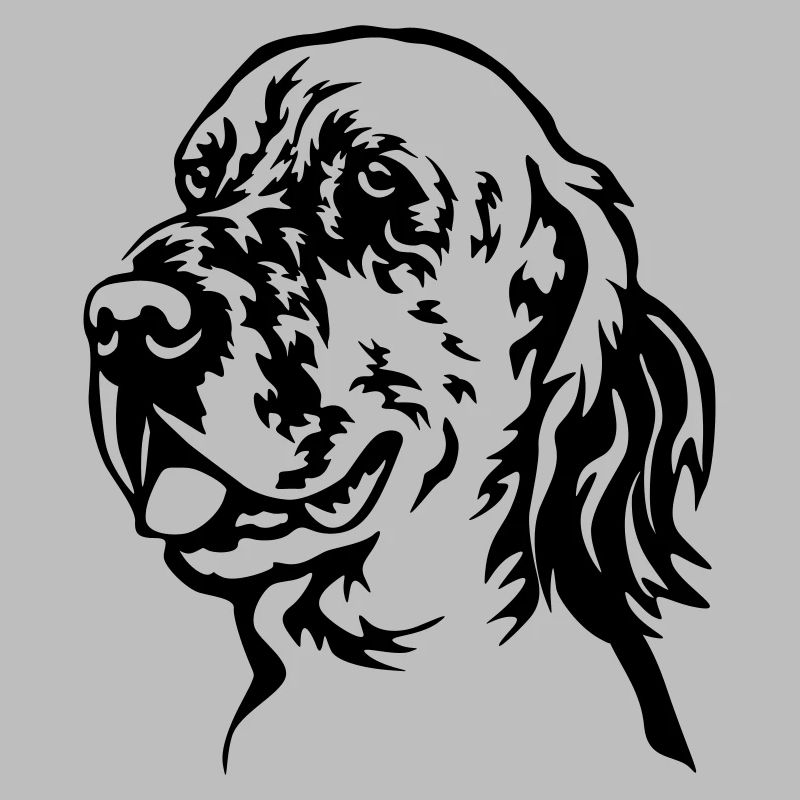 Englischer Setter Kopf