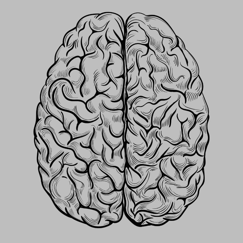 Brain black