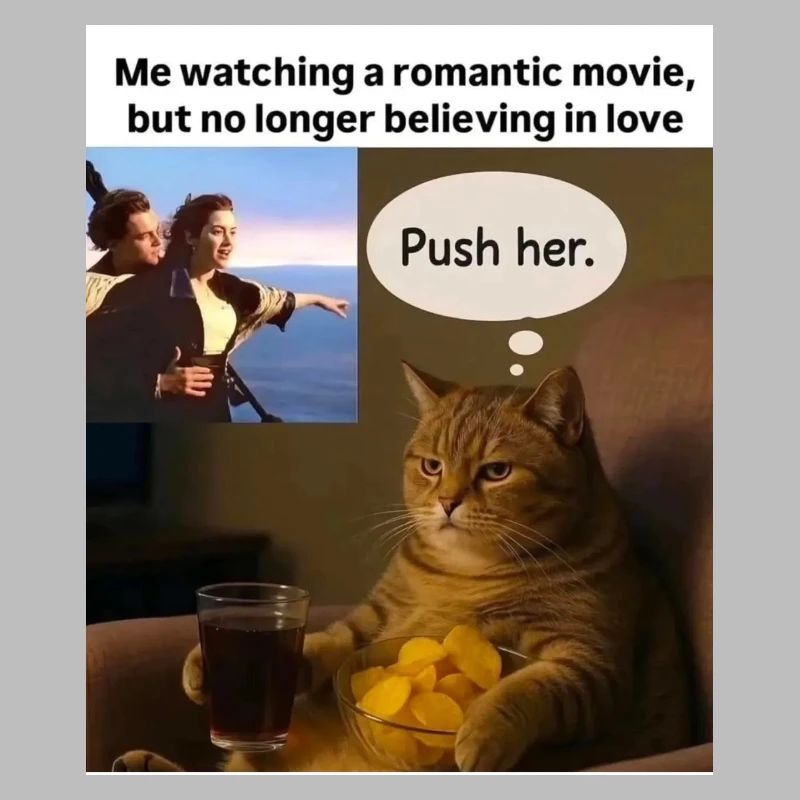 Cat Meme Push Romance