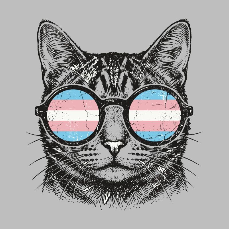 LGBT-Pride-Monat – Trans-Pride-Katze
