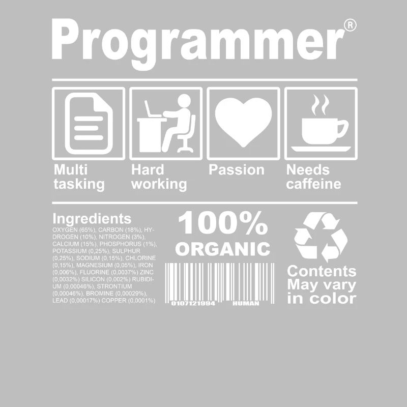 Programmeur