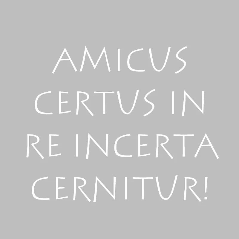 Amicus certus in re incerta cernitur